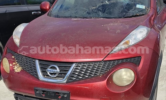 Buy Used Nissan Juke Other Car in Freetown in Eleuthera Buy Used Nissan Juke Other Car in Freetown in Eleuthera