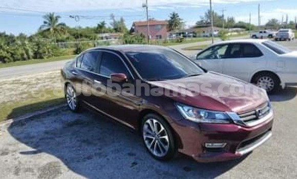Buy Used Honda Accord Other Car in Freetown in Eleuthera