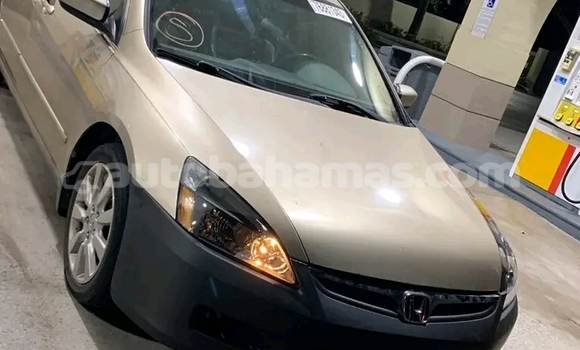 Buy Used Honda Ballade Other Car in Rock Sound in Eleuthera Buy Used Honda Ballade Other Car in Rock Sound in Eleuthera