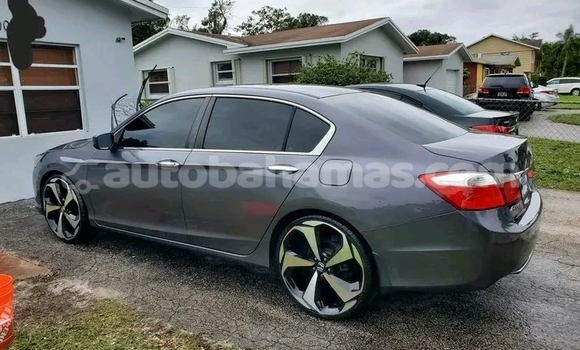 Buy Used Honda Avancier Other Car in Pirates Well in Mayaguana