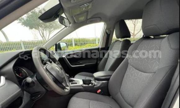 Buy Used Toyota RAV4 White Car in Marsh Harbour in Abaco Buy Used Toyota RAV4 White Car in Marsh Harbour in Abaco