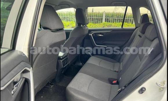 Buy Used Toyota RAV4 White Car in Marsh Harbour in Abaco Buy Used Toyota RAV4 White Car in Marsh Harbour in Abaco
