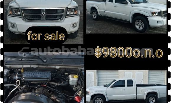 Buy Used Dodge Dakota Other Car in Freetown in Eleuthera