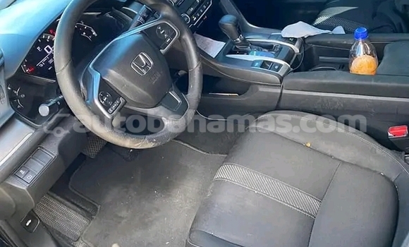 Buy Used Honda Avancier White Car in Marsh Harbour in Abaco