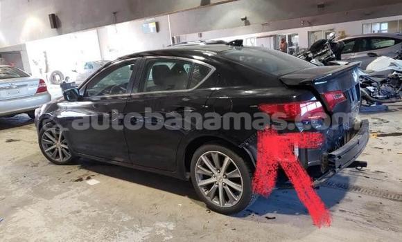 Buy Used Honda Accord Black Car in Freetown in Eleuthera Buy Used Honda Accord Black Car in Freetown in Eleuthera