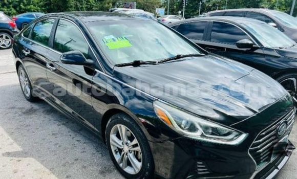 Buy Used Hyundai Sonata Other Car in Alice Town in Biminis