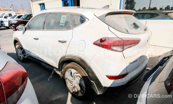 Buy Import Hyundai Tucson White Car in Import - Dubai in Abaco Buy Import Hyundai Tucson White Car in Import - Dubai in Abaco