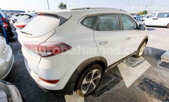 Buy Import Hyundai Tucson White Car in Import - Dubai in Abaco Buy Import Hyundai Tucson White Car in Import - Dubai in Abaco
