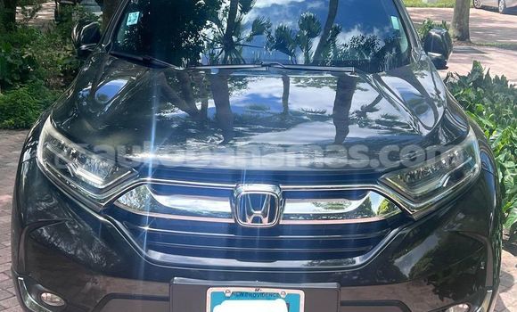 Buy Used Honda CR–V Black Car in Coopers Town in Abaco