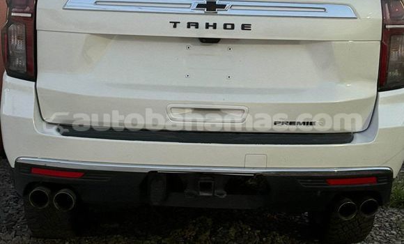 Buy Used Chery Tiggo 3 White Car in Marsh Harbour in Abaco Buy Used Chery Tiggo 3 White Car in Marsh Harbour in Abaco