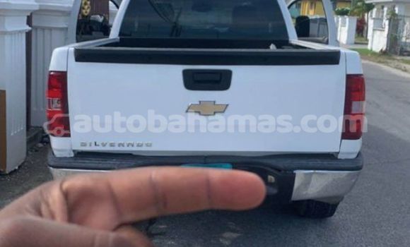 Buy Used Chevrolet Silverado White Car in Import - Dubai in Abaco