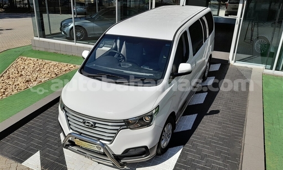 Buy Used Hyundai H200 White Car in Freetown in Eleuthera Buy Used Hyundai H200 White Car in Freetown in Eleuthera