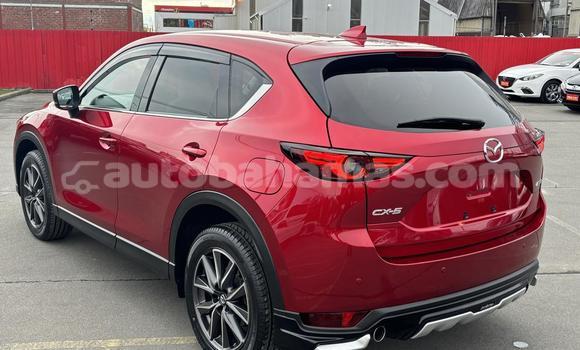 Buy Used Mazda CX-5 Red Car in Freetown in Eleuthera Buy Used Mazda CX-5 Red Car in Freetown in Eleuthera
