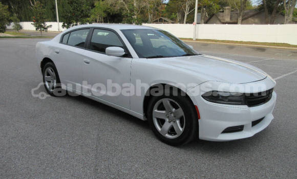 Buy Used Dodge Charger White Car in Freetown in Eleuthera