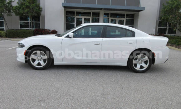 Buy Used Dodge Charger White Car in Freetown in Eleuthera Buy Used Dodge Charger White Car in Freetown in Eleuthera