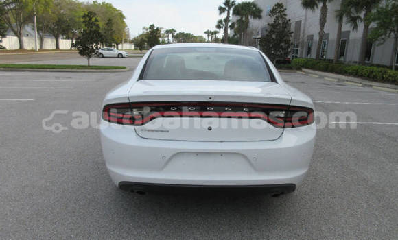 Buy Used Dodge Charger White Car in Freetown in Eleuthera Buy Used Dodge Charger White Car in Freetown in Eleuthera