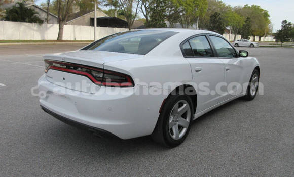 Buy Used Dodge Charger White Car in Freetown in Eleuthera Buy Used Dodge Charger White Car in Freetown in Eleuthera