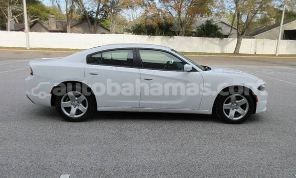 Buy Used Dodge Charger White Car in Freetown in Eleuthera Buy Used Dodge Charger White Car in Freetown in Eleuthera
