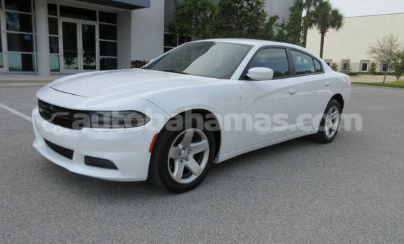 Buy Used Dodge Charger White Car in Freetown in Eleuthera Buy Used Dodge Charger White Car in Freetown in Eleuthera