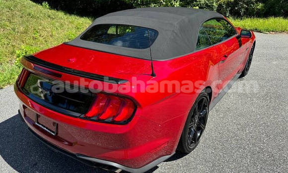 Buy Used Ford Mustang Red Car in Freetown in Eleuthera Buy Used Ford Mustang Red Car in Freetown in Eleuthera