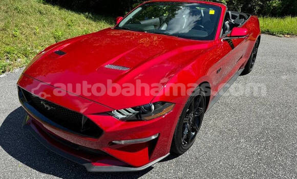 Buy Used Ford Mustang Red Car in Freetown in Eleuthera Buy Used Ford Mustang Red Car in Freetown in Eleuthera
