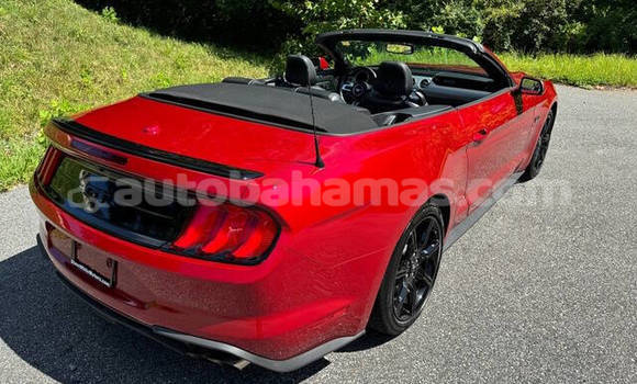 Buy Used Ford Mustang Red Car in Freetown in Eleuthera Buy Used Ford Mustang Red Car in Freetown in Eleuthera
