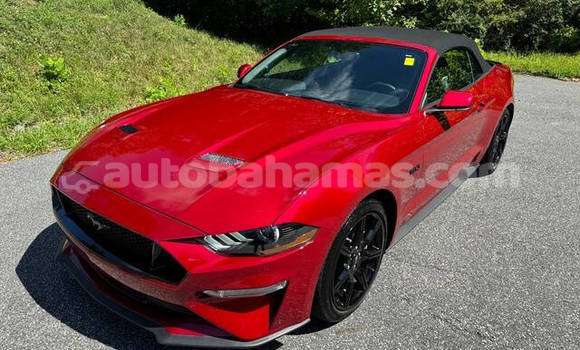 Buy Used Ford Mustang Red Car in Freetown in Eleuthera Buy Used Ford Mustang Red Car in Freetown in Eleuthera