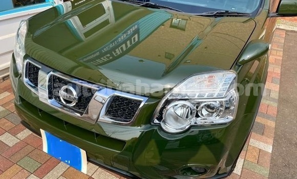 Buy Used Nissan X–Trail Green Car in Freetown in Eleuthera Buy Used Nissan X–Trail Green Car in Freetown in Eleuthera