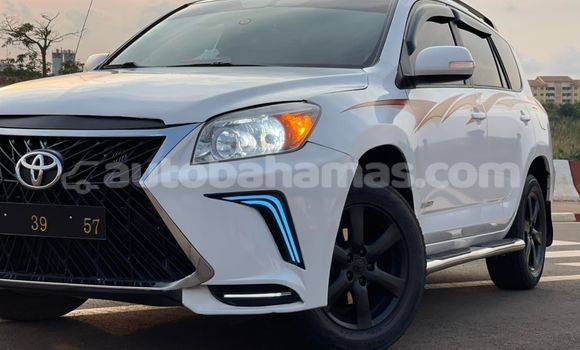 Buy Used Toyota RAV4 White Car in Freetown in Eleuthera Buy Used Toyota RAV4 White Car in Freetown in Eleuthera