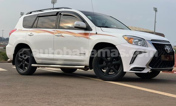 Buy Used Toyota RAV4 White Car in Freetown in Eleuthera Buy Used Toyota RAV4 White Car in Freetown in Eleuthera