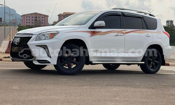 Buy Used Toyota RAV4 White Car in Freetown in Eleuthera Buy Used Toyota RAV4 White Car in Freetown in Eleuthera