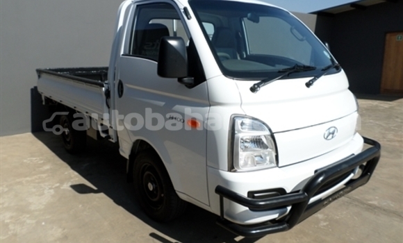 Buy Used Hyundai H200 White Car in Nicholls Town in Andros Buy Used Hyundai H200 White Car in Nicholls Town in Andros