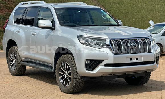Buy Used Toyota Land Cruiser Prado White Car in Marsh Harbour in Abaco Buy Used Toyota Land Cruiser Prado White Car in Marsh Harbour in Abaco
