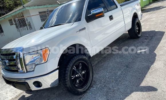 Buy Used Ford F–150 Other Car in Freetown in Eleuthera