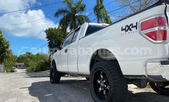 Buy Used Ford F–150 Other Car in Freetown in Eleuthera Buy Used Ford F–150 Other Car in Freetown in Eleuthera