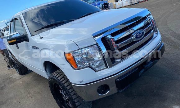 Buy Used Ford F–150 Other Car in Marsh Harbour in Abaco