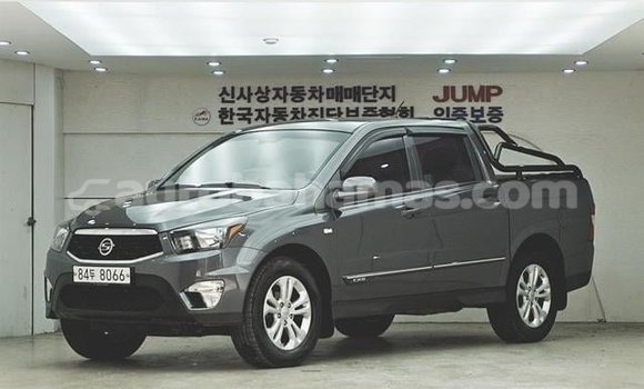 Buy Used SsangYong Korando Black Car in Nicholls Town in Andros