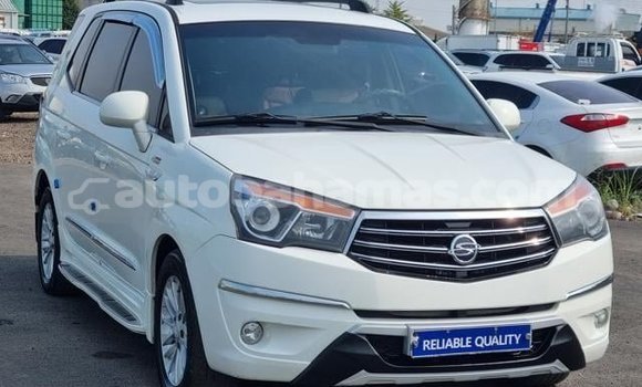 Buy Used SsangYong Korando White Car in Andros Town in Andros