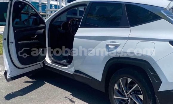 Buy Used Hyundai Tucson White Car in Marsh Harbour in Abaco Buy Used Hyundai Tucson White Car in Marsh Harbour in Abaco