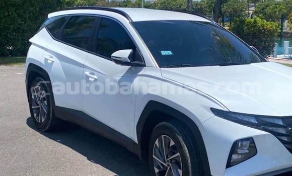 Buy Used Hyundai Tucson White Car in Marsh Harbour in Abaco Buy Used Hyundai Tucson White Car in Marsh Harbour in Abaco