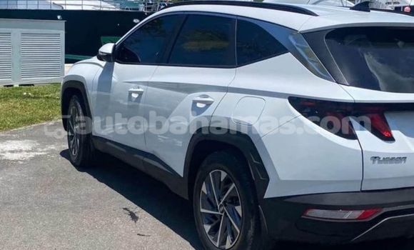 Buy Used Hyundai Tucson White Car in Marsh Harbour in Abaco Buy Used Hyundai Tucson White Car in Marsh Harbour in Abaco