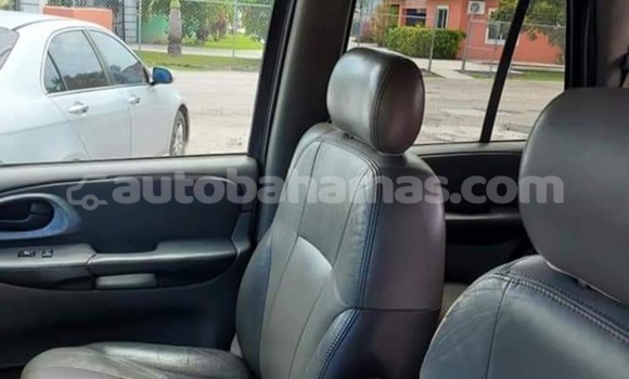 Buy Used Chevrolet TrailBlazer Brown Car in Rock Sound in Eleuthera Buy Used Chevrolet TrailBlazer Brown Car in Rock Sound in Eleuthera