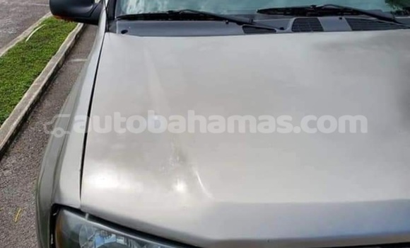 Buy Used Chevrolet TrailBlazer Brown Car in Rock Sound in Eleuthera Buy Used Chevrolet TrailBlazer Brown Car in Rock Sound in Eleuthera