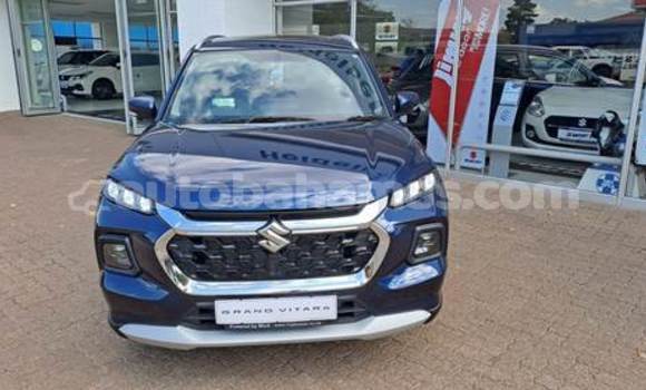 Buy Used Suzuki Grand Vitara Blue Car in Freetown in Eleuthera Buy Used Suzuki Grand Vitara Blue Car in Freetown in Eleuthera