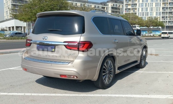 Buy Used Infiniti QX80 Other Car in Freetown in Eleuthera Buy Used Infiniti QX80 Other Car in Freetown in Eleuthera