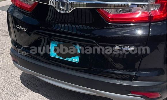 Buy Used Honda CR–V Other Car in Alice Town in Biminis Buy Used Honda CR–V Other Car in Alice Town in Biminis