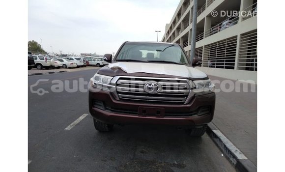 Buy Import Toyota Land Cruiser Brown Car in Import - Dubai in Abaco Buy Import Toyota Land Cruiser Brown Car in Import - Dubai in Abaco