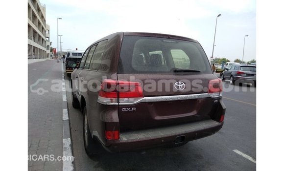 Buy Import Toyota Land Cruiser Brown Car in Import - Dubai in Abaco Buy Import Toyota Land Cruiser Brown Car in Import - Dubai in Abaco