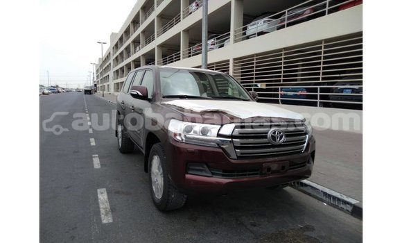 Buy Import Toyota Land Cruiser Brown Car in Import - Dubai in Abaco Buy Import Toyota Land Cruiser Brown Car in Import - Dubai in Abaco