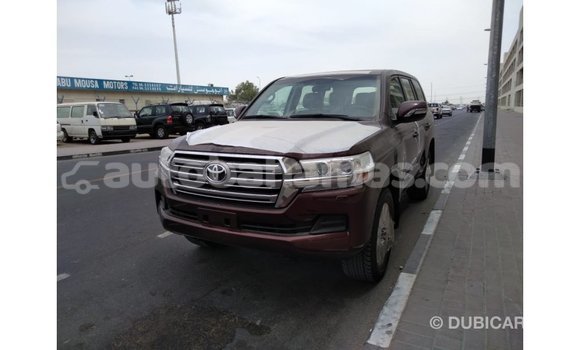 Buy Import Toyota Land Cruiser Brown Car in Import - Dubai in Abaco Buy Import Toyota Land Cruiser Brown Car in Import - Dubai in Abaco